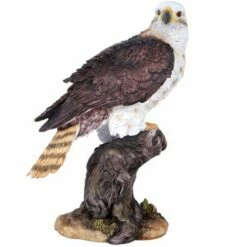 Bald Eagle Statue - Or Is It?
