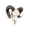 Big Horn Skull Wall Hanging