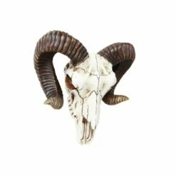 Big Horn Skull Wall Hanging