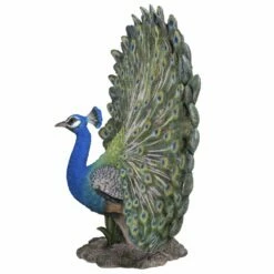 Peacock Statue - Full Display - BIG -Gift Sales 2024 12490 2