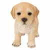 Labrador Puppy Statue, Standing