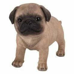 Pug Puppy Statue, Standing