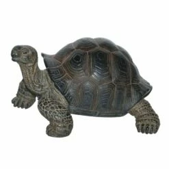 Tortoise Statue - So Proud
