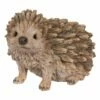 Hedgehog, Baby - Looks Like Driftwood
