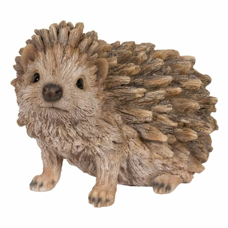Hedgehog, Baby - Looks Like Driftwood 1 Hedgehog, Baby - Looks Like Driftwood