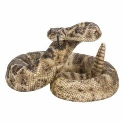 Rattlesnake Statue - See Its Tongue & Rattles