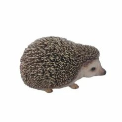 Hedgehog Statue - Timid