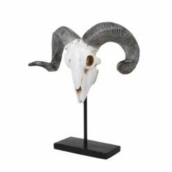 Big Horn Sheep Skull On Stand
