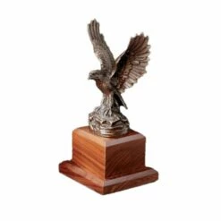 Eagle - Symbol Of Freedom