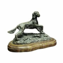 Irish Setter Dog - What's Happening?