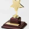 Shining Star Award FREE TEXT