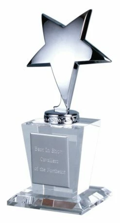 Silver Star Award FREE TEXT