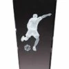 Soccer Award FREE TEXT