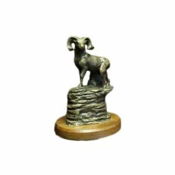 Reaching The Top - Big Horn Sheep