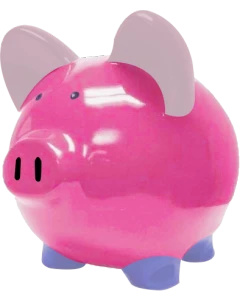 Special Order Custom Piggy Bank 13 Inch