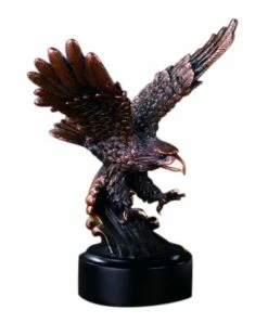 Eagle - Looking Serious