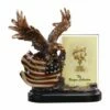 Eagle Holding American Flag & Picture Frame