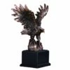 Eagle Statue - Curious?