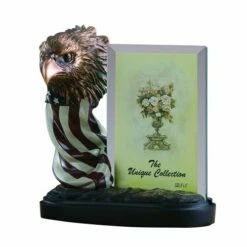 Eagle Head & American Flag Picture Frame