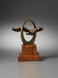 Eagle - Circle Of Excellence - 2 Sizes -Gift Sales 2024 jqsxftiq