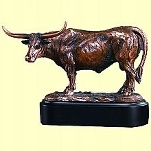 Longhorn Steer - Great Horns