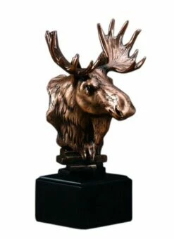 Moose Bust