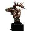 Elk Bust