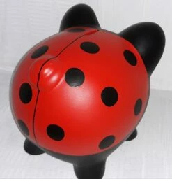 Gift Sales 2024 -Gift Sales 2024 lady bug top