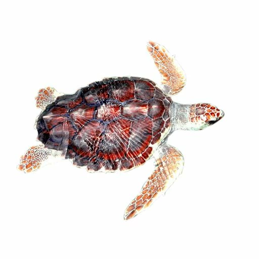 Sea Turtle Statue - A Beautiful Turtle! 2 Sea Turtle Statue - A Beautiful Turtle! - Image 2