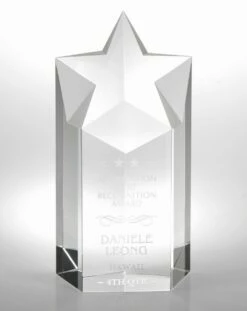 Like A Star Trophy  6" $99.95, 7" $109.95, 8" $129.95