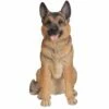 German Shepherd Statue BIG