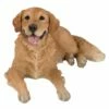 Golden Retriever Dog BIG