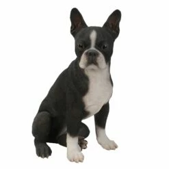 Boston Terrier Dog Statue BIG