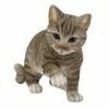 American Shorthair Cat Statue - Playful Kitten