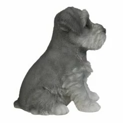 Mini Schnauzer Dog Statue -Gift Sales 2024 pt8304 right