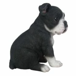 Boston Terrier Statue - Small -Gift Sales 2024 pt8305 right