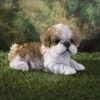 Shih Tzu Dog Statue